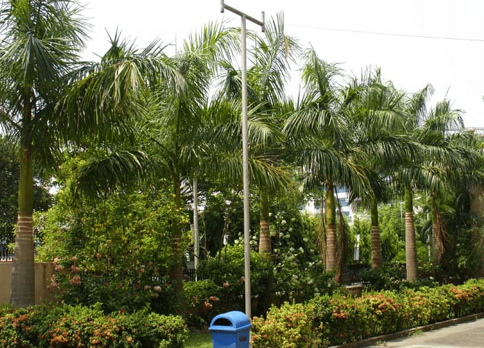 NUJS Campus photo 10